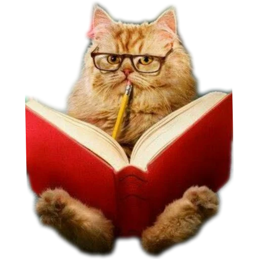 Стикер из набора Спокойной ночи для Телеграм: Статические 📖