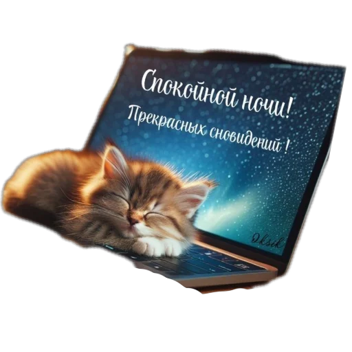 Стикер из набора Спокойной ночи для Телеграм: Статические 😴