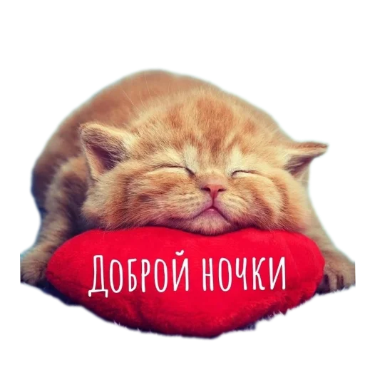 Стикер из набора Спокойной ночи для Телеграм: Статические 🥱