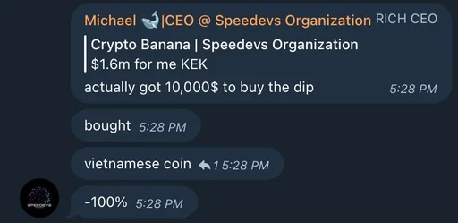Стикер из набора Speedevs для Телеграм: Статические 👁