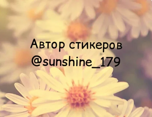 Стикер из набора УБИТЬ СТАЛКЕРА для Телеграм: Статические 💁‍♀️