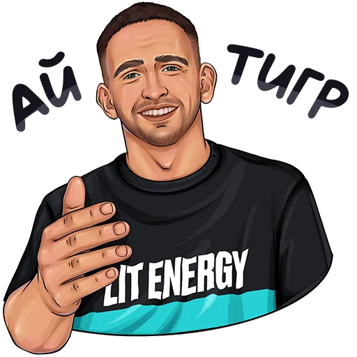 Стикер из набора ЛИТВИН от @hypestickbot для Телеграм: Видео, Статические 🐯