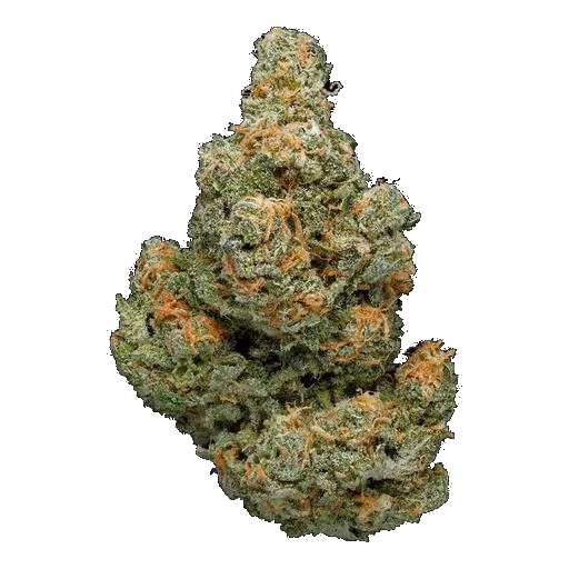 Стикер из набора - Super Full Blood Moon Haze - для Телеграм: Статические 🌳