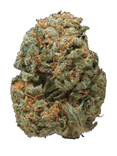 Стикер из набора - Super Full Blood Moon Haze - для Телеграм: Статические 🌳