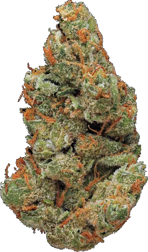 Стикер из набора - Super Full Blood Moon Haze - для Телеграм: Статические 🌳
