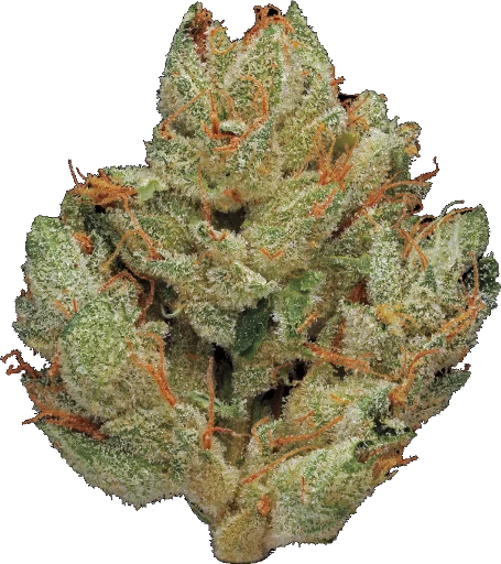 Стикер из набора - Super Full Blood Moon Haze - для Телеграм: Статические 🌳