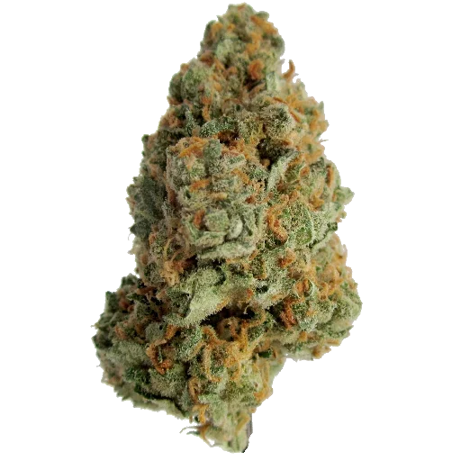 Стикер из набора - Super Full Blood Moon Haze - для Телеграм: Статические 🌳