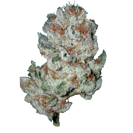 Стикер из набора - Super Full Blood Moon Haze - для Телеграм: Статические 🌳