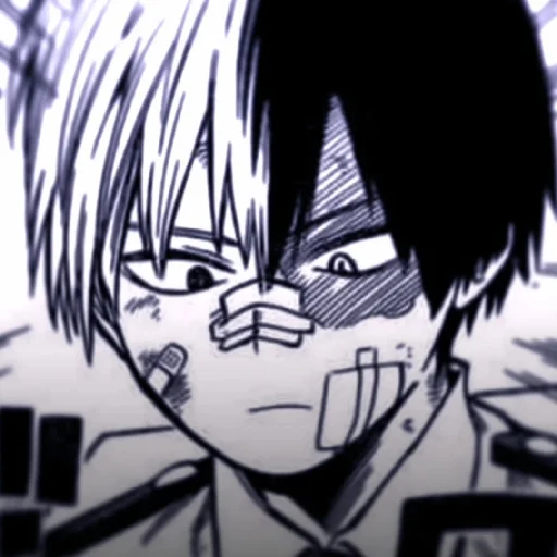 Стикер из набора // Todoroki Shoto // @sshasstiks // Шото Тодороки для Телеграм: Статические 🧊
