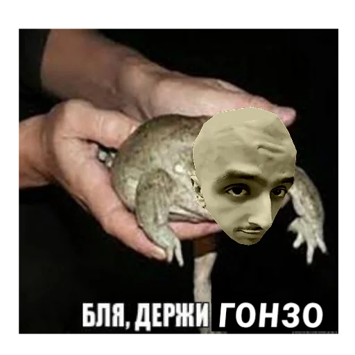 Стикер из набора 🇺🇿UZB×stickers🏳️🌈 by @BAK_LAWKA для Телеграм: Статические 🐸