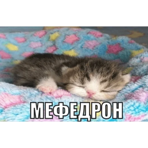 Стикер из набора Я вас всех ненавижу для Телеграм: Статические 🛌