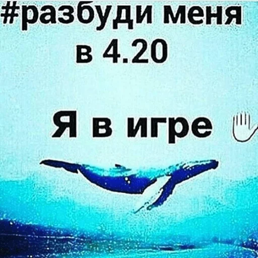 Стикер из набора Я вас всех ненавижу для Телеграм: Статические 🐋