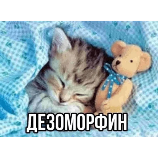 Стикер из набора Я вас всех ненавижу для Телеграм: Статические 🛌