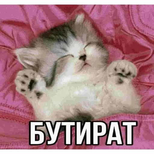 Стикер из набора Я вас всех ненавижу для Телеграм: Статические 🛌