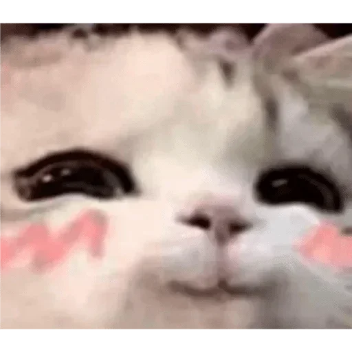 Стикер из набора Vedant_VN_ @Baka_VN😉 для Телеграм: Статические 😊