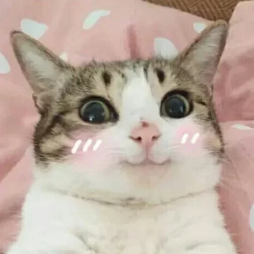 Стикер из набора Vedant_VN_ @Baka_VN😉 для Телеграм: Статические 😊