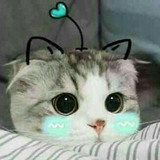 Стикер из набора Vedant_VN_ @Baka_VN😉 для Телеграм: Статические ☺️