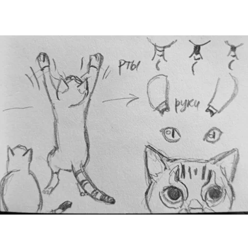 Стикер из набора Все стикеры в @Pig_and_friends / @Mari_Deinos "PigValeraWiP" для Телеграм: Статические 🐱