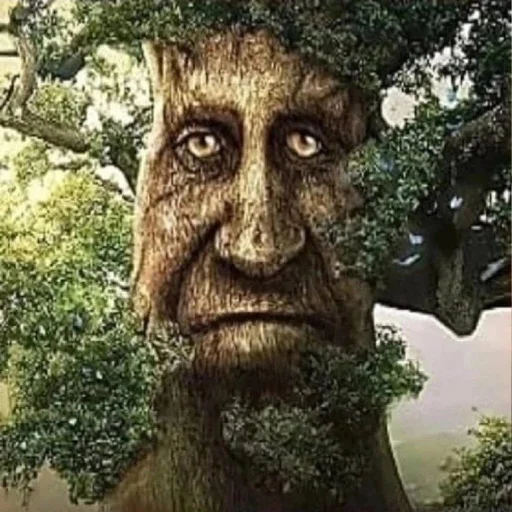 Стикер из набора [@tiktok4memes] Мудрое мистическое дерево для Телеграм: Статические 🙁