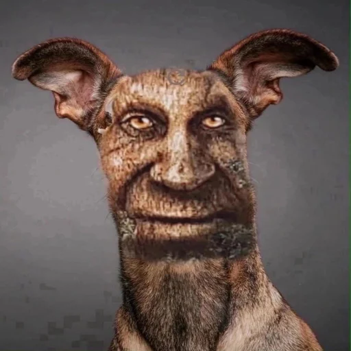 Стикер из набора [@tiktok4memes] Мудрое мистическое дерево для Телеграм: Статические 🐕