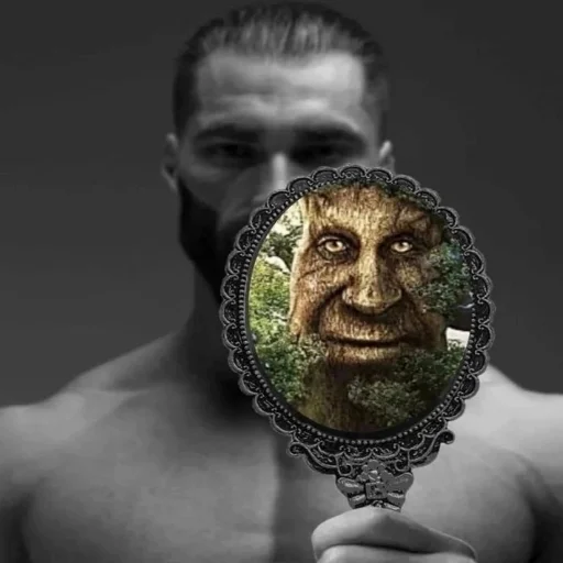 Стикер из набора [@tiktok4memes] Мудрое мистическое дерево для Телеграм: Статические 💪