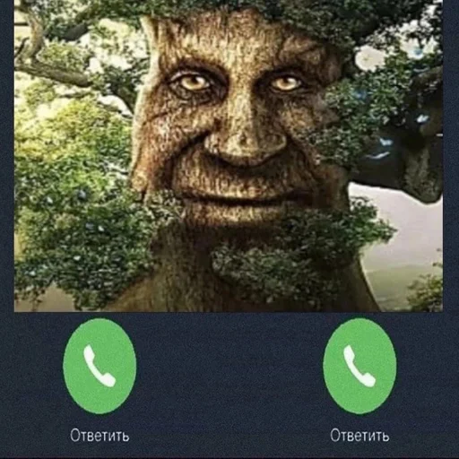 Стикер из набора [@tiktok4memes] Мудрое мистическое дерево для Телеграм: Статические 📞