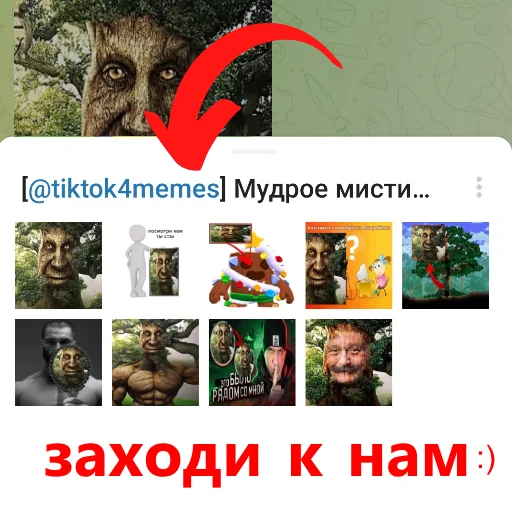 Стикер из набора [@tiktok4memes] Мудрое мистическое дерево для Телеграм: Статические 👍