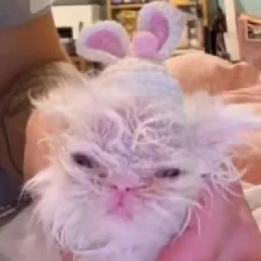 Стикер из набора Wisp для Телеграм: Статические 🐰