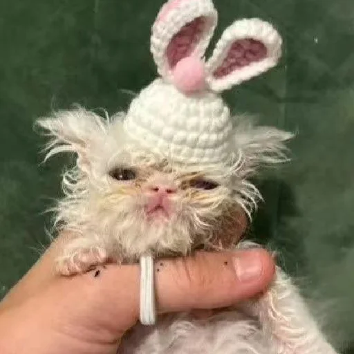 Стикер из набора Wisp для Телеграм: Статические 🐰