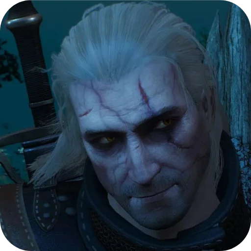 Стикер из набора WitcherBHSP Часть 1 @xBHSPx для Телеграм: Статические 🤔