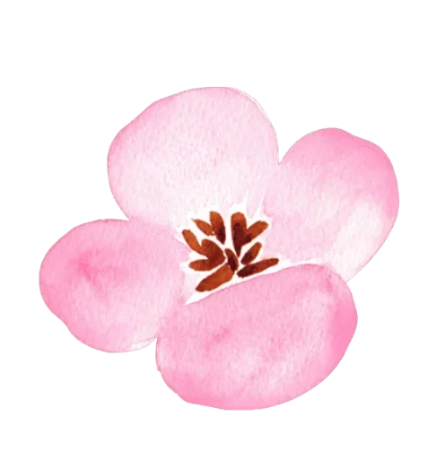 Стикер из набора WithLove @stickersb2b для Телеграм: Статические 🌸