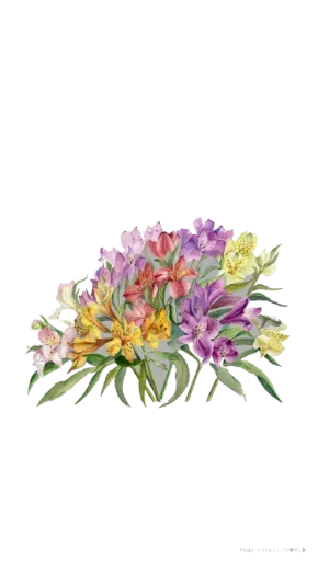 Стикер из набора WithLove @stickersb2b для Телеграм: Статические 💐