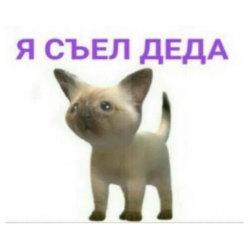 Стикерпак На случай важных переговоров для Телеграм: Статические