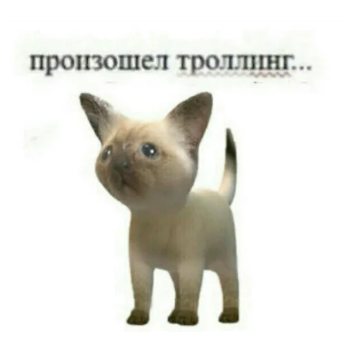 Стикер из набора На случай важных переговоров для Телеграм: Статические 😎