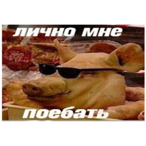 Стикер из набора На случай важных переговоров для Телеграм: Статические 😒