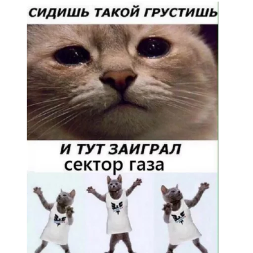 Стикер из набора На случай важных переговоров для Телеграм: Статические 🥺