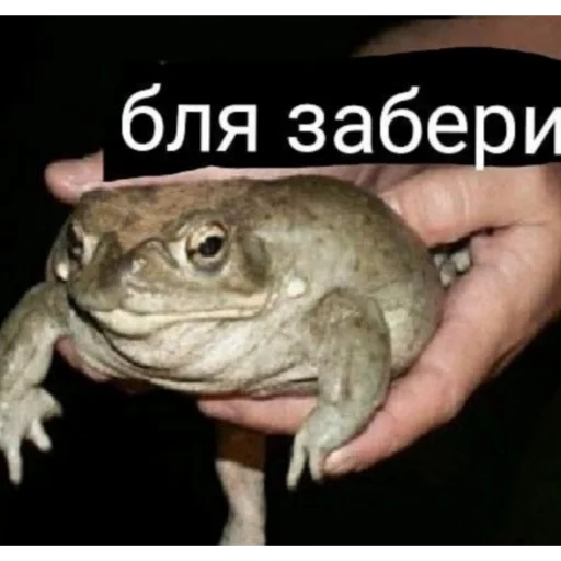 Стикер из набора На случай важных переговоров для Телеграм: Статические 🤝