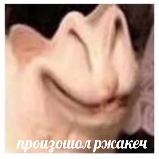 Стикер из набора На случай важных переговоров для Телеграм: Статические 🙀