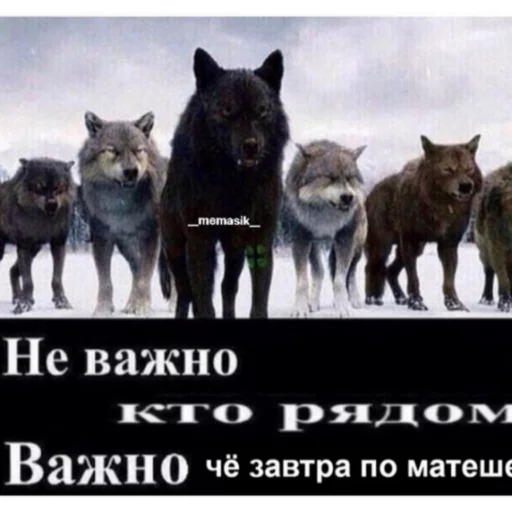 Стикер из набора На случай важных переговоров для Телеграм: Статические 🤔