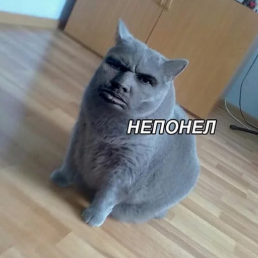 Стикер из набора На случай важных переговоров для Телеграм: Статические 😑