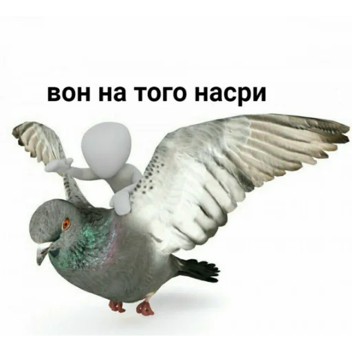 Стикер из набора На случай важных переговоров для Телеграм: Статические 🕊️