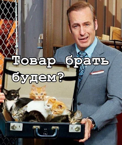Стикер из набора Ввт для Телеграм: Статические 🐈