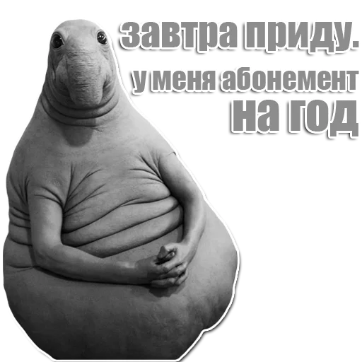 Стикер из набора Ждун для Телеграм: Статические 😏