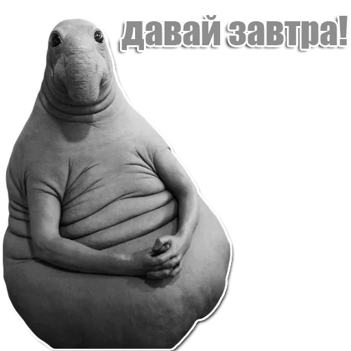 Стикер из набора Ждун для Телеграм: Статические 😉