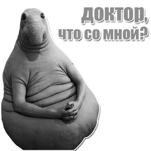 Стикер из набора Ждун для Телеграм: Статические 👨