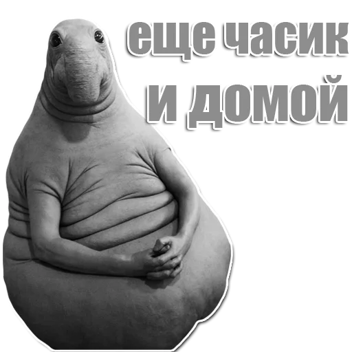 Стикер из набора Ждун для Телеграм: Статические 🌚