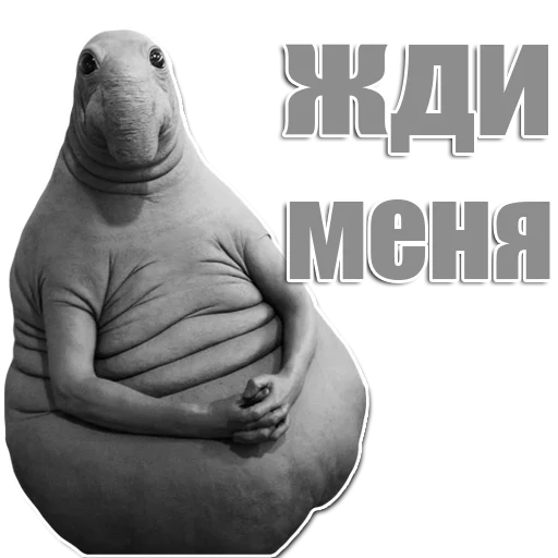 Стикер из набора Ждун для Телеграм: Статические 🌝