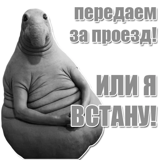 Стикер из набора Ждун для Телеграм: Статические 💸