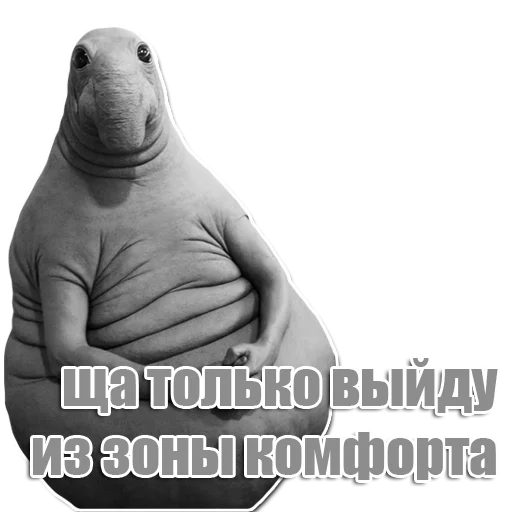 Стикер из набора Ждун для Телеграм: Статические 🙃