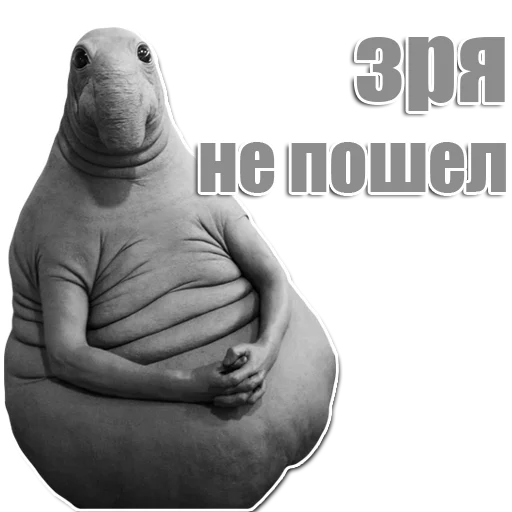 Стикер из набора Ждун для Телеграм: Статические 😏